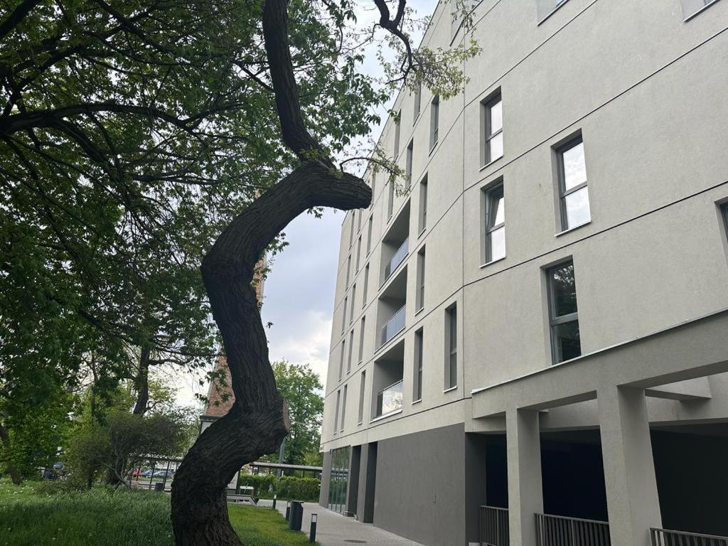 Apartament Centrum II Бидгошч Екстериор снимка